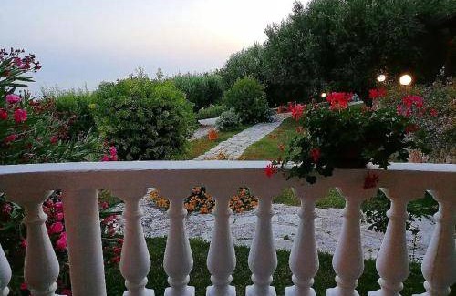Camerota Bed & Breakfast | 30 m² Bed and breakfast ∙ 3 guests
