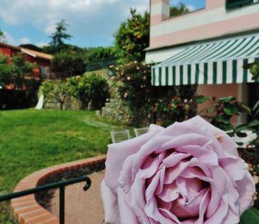 Celle Ligure Bed & Breakfast | 30 m² Bed and breakfast ∙ 4 guests