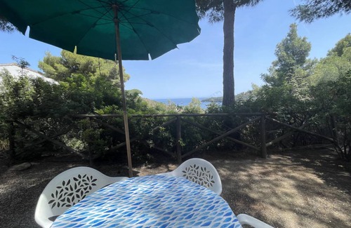 Mola Apartment | 35 m² Apartment ∙ 1 bedroom ∙ 4 guests