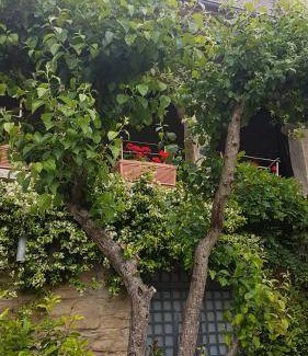 Casola Valsenio Bed & Breakfast | 35 m² Bed and breakfast ∙ 3 guests