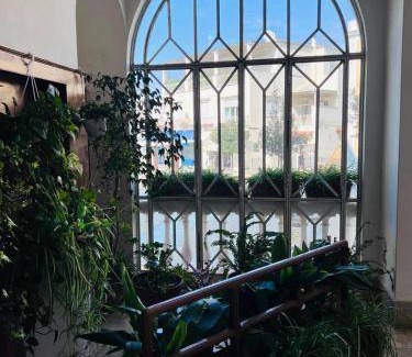 Anacapri Bed & Breakfast | 35 m² Bed and breakfast ∙ 4 guests