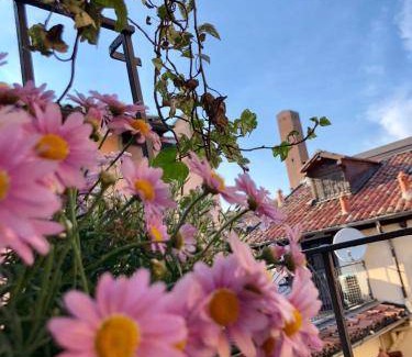 Pavia Bed & Breakfast | 35 m² Bed and breakfast ∙ 3 guests
