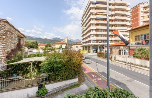 Querceta Apartment | 35 m² Studio flat ∙ 1 bedroom ∙ 2 guests