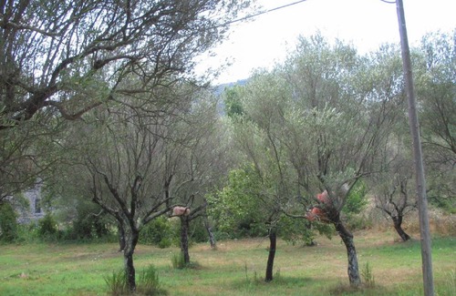 San Giovanni a Piro House | 360 m² House ∙ 4 bedrooms ∙ 8 guests