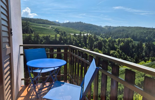 Sanzeno Apartment | 38 m² Apartment ∙ 1 bedroom ∙ 2 guests