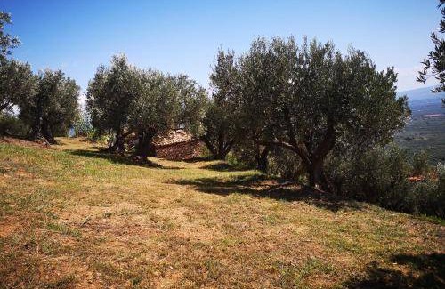 Lamezia Terme Villa | 38 m² Villa ∙ 1 bedroom ∙ 2 guests
