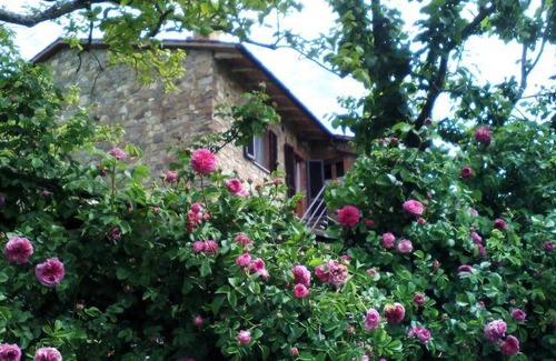 Castiglione d'Orcia House | 40 m² House ∙ 2 guests