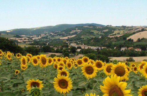 Fossombrone Villa | 400 m² Villa ∙ 5 bedrooms ∙ 16 guests