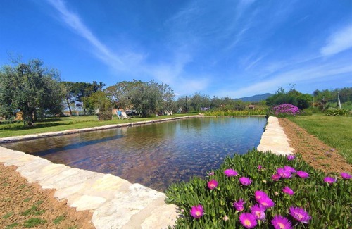 Roccastrada Villa | 41 m² Villa ∙ 1 bedroom ∙ 4 guests