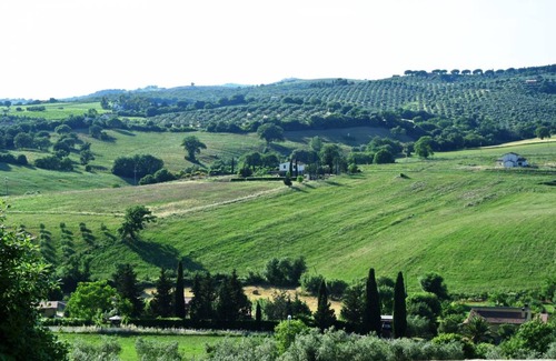 Magliano in Toscana Apartment | 45 m² Apartment ∙ 1 bedroom ∙ 4 guests