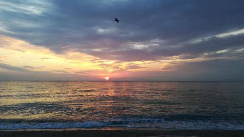 San Ferdinando Apartment | 48 m² Serviced apartment ∙ 2 bedrooms ∙ 5 guests