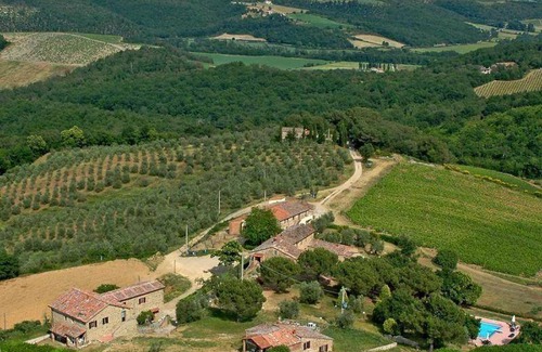 Castelnuovo Berardenga Apartment | 50 m² Apartment ∙ 1 bedroom ∙ 3 guests