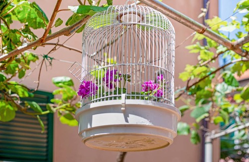 Moneglia Apartment | 55 m² Apartment ∙ 2 bedrooms ∙ 4 guests