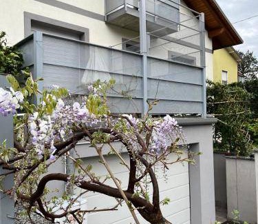 Merate Bed & Breakfast | 65 m² Bed and breakfast ∙ 2 guests
