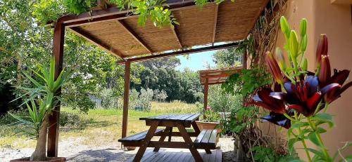 Donoratico Apartment | 80 m² Apartment ∙ 2 bedrooms ∙ 5 guests