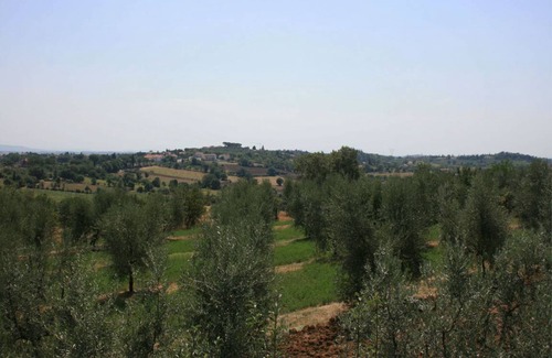 Marciano della Chiana Apartment | 80 m² Apartment ∙ 2 bedrooms ∙ 5 guests