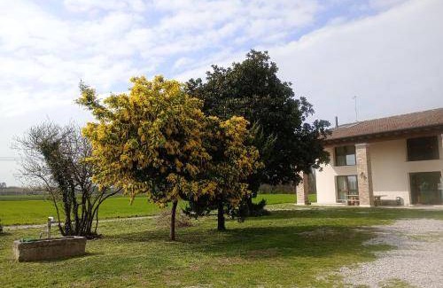 Casale sul Sile Apartment | 85 m² Apartment ∙ 2 bedrooms ∙ 4 guests