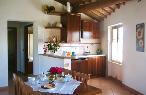 Castelnuovo Berardenga Apartment | Agriturismo Lo Strettoio - Olivo apartment