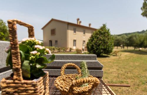 Montescudaio House | Agriturismo Sant Elmira - Relax with external Jacuzzi