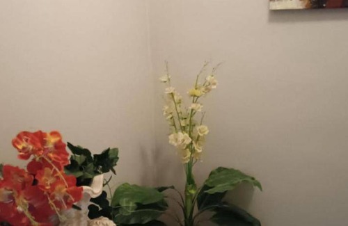 Parma Apartment | Apartment ∙ 1 bedroom ∙ 2 guests