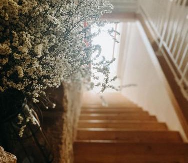 Bisceglie Bed & Breakfast | B&B MARNUDD