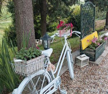 Castelvetro di Modena Bed & Breakfast | Bed and breakfast ∙ 3 guests