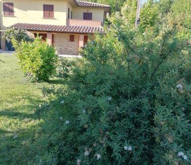Civitella in Val di Chiana Bed & Breakfast | Bed and breakfast ∙ 2 guests