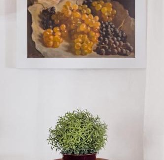 Dorsoduro Apartment | Ca' Corte Bonazza