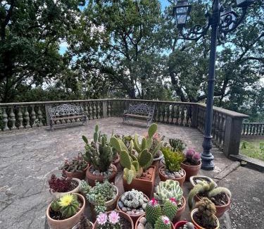 Soriano nel Cimino Apartment | Casa Anna Maria
