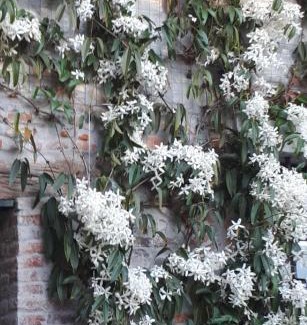 Clauiano Bed & Breakfast | Casa Barnaba-Manin