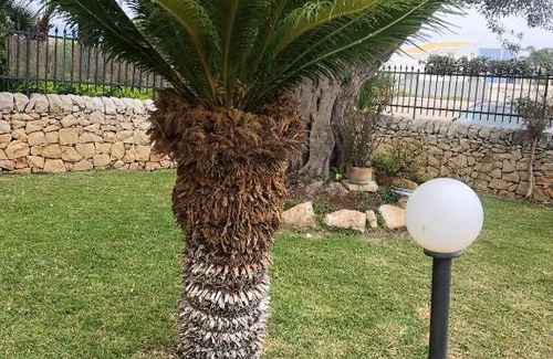 Marina di Ragusa Apartment | Casa Giuffrida