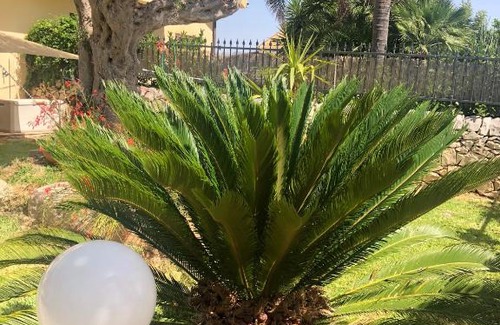 Marina di Ragusa Apartment | Casa Giuffrida