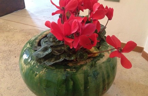 Grottaglie Bed & Breakfast | Casa Marilla