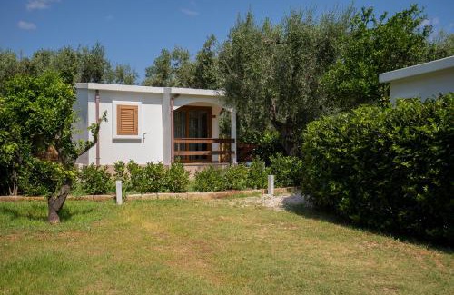 Mattinata House | Holiday Apartment orchidea with swimming pool and private beach -3