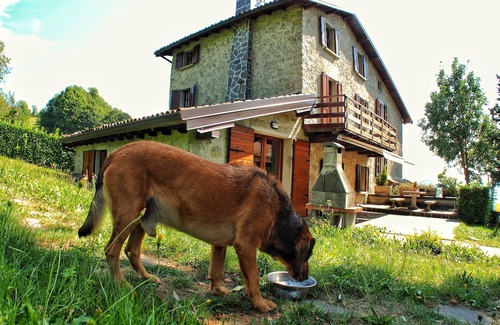 Zogno Ski Chalet | Holiday home Pratolungo