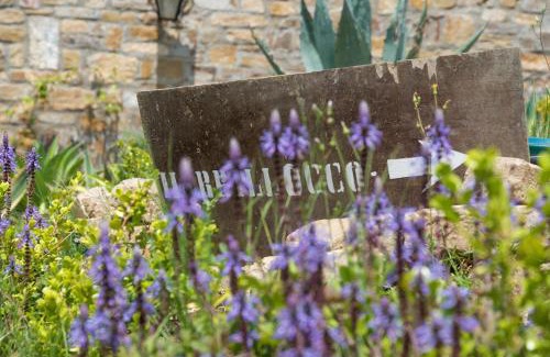 Castellabate Bed & Breakfast | Il Brillocco