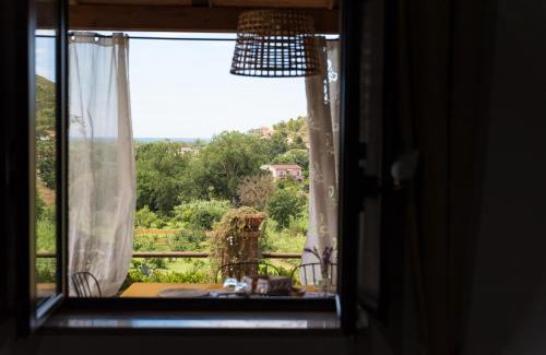 Castellabate Bed & Breakfast | Il Brillocco