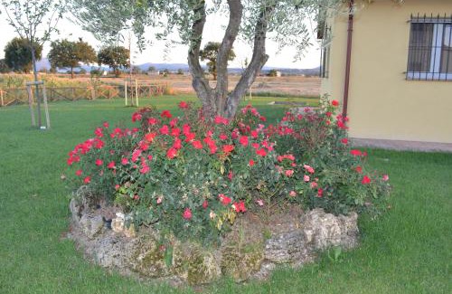Bovara Apartment | Il casale di famiglia