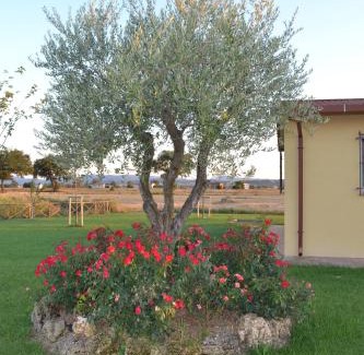 Bovara Apartment | Il casale di famiglia