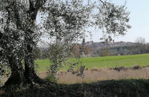 Torrita di Siena Apartment | La Dimora degli Olivi
