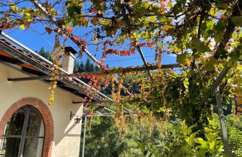 Barga House | La Limonaia di Casagrande