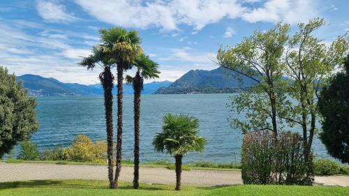 Stresa Apartment | La Suite dell'Artista SWIMMING POOL AND AIR CONDITIONING