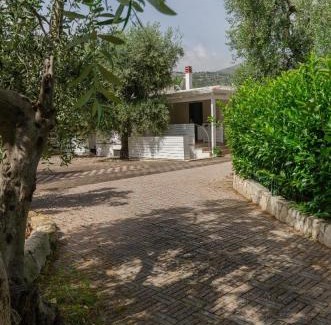 Mattinata Apartment | Le Case di Chri