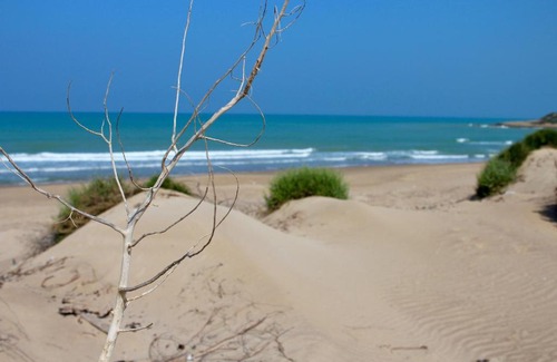 Caucana-finaiti-casuzze-finaiti Nord Apartment | Mediterranean òikos