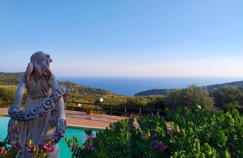 Camerota Other | Moonlight Bubble Room