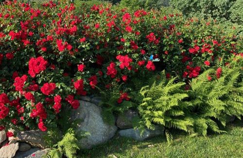 Palazzo Canavese Bed & Breakfast | MyVilla B&B