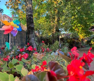 Rieti Bed & Breakfast | Stella Polare B&B