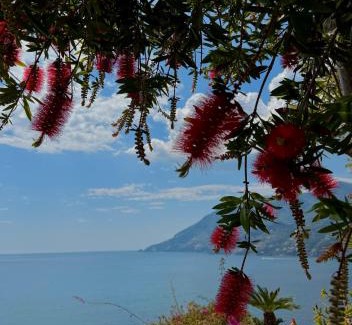 Maiori House | Villa Anna