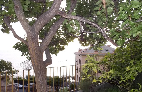 Sori Villa | Villa "Castagnola" with Sea View, Private Garden & Wi-Fi