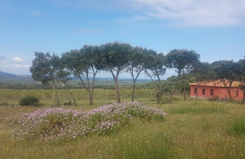 Viddalba House | Villetta Ruja